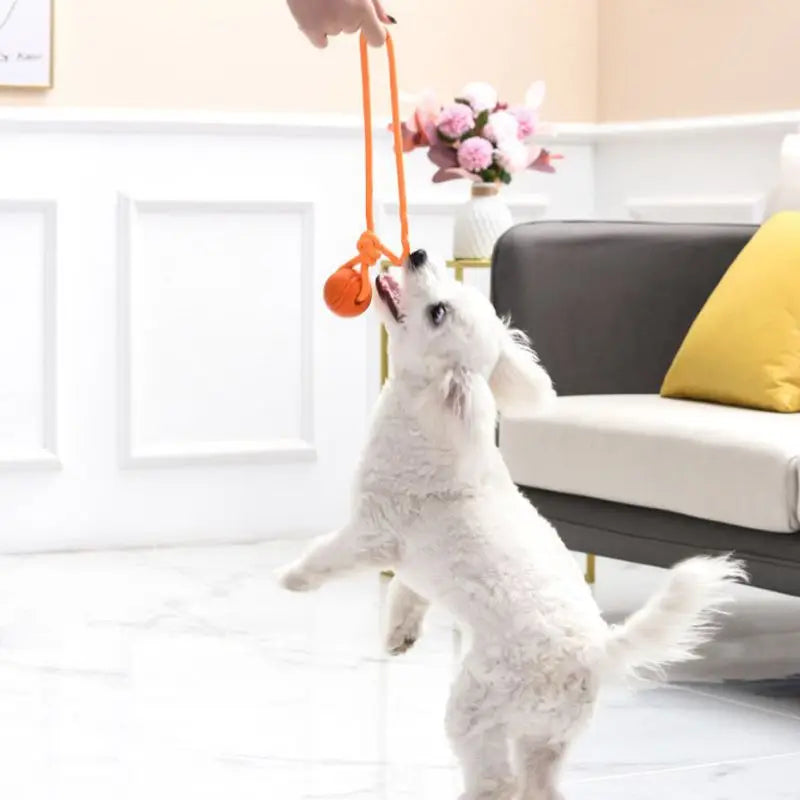 Indestructible Bouncy Rubber Chew Ball with String – Interactive Dog Toy for Big Dogs and Puppies