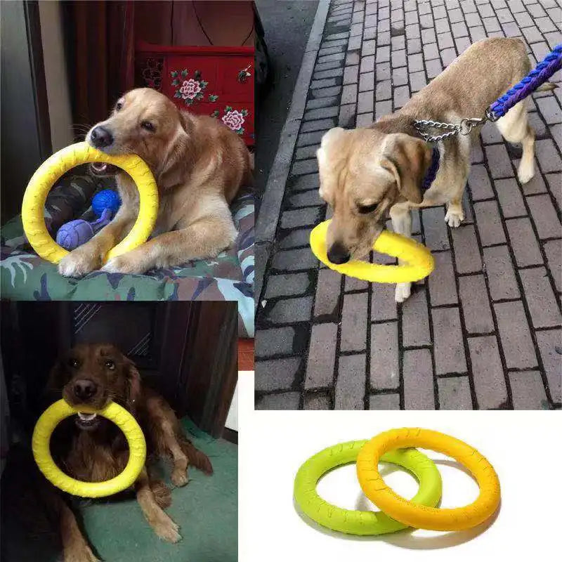 Interactive Flying Disk for Dogs