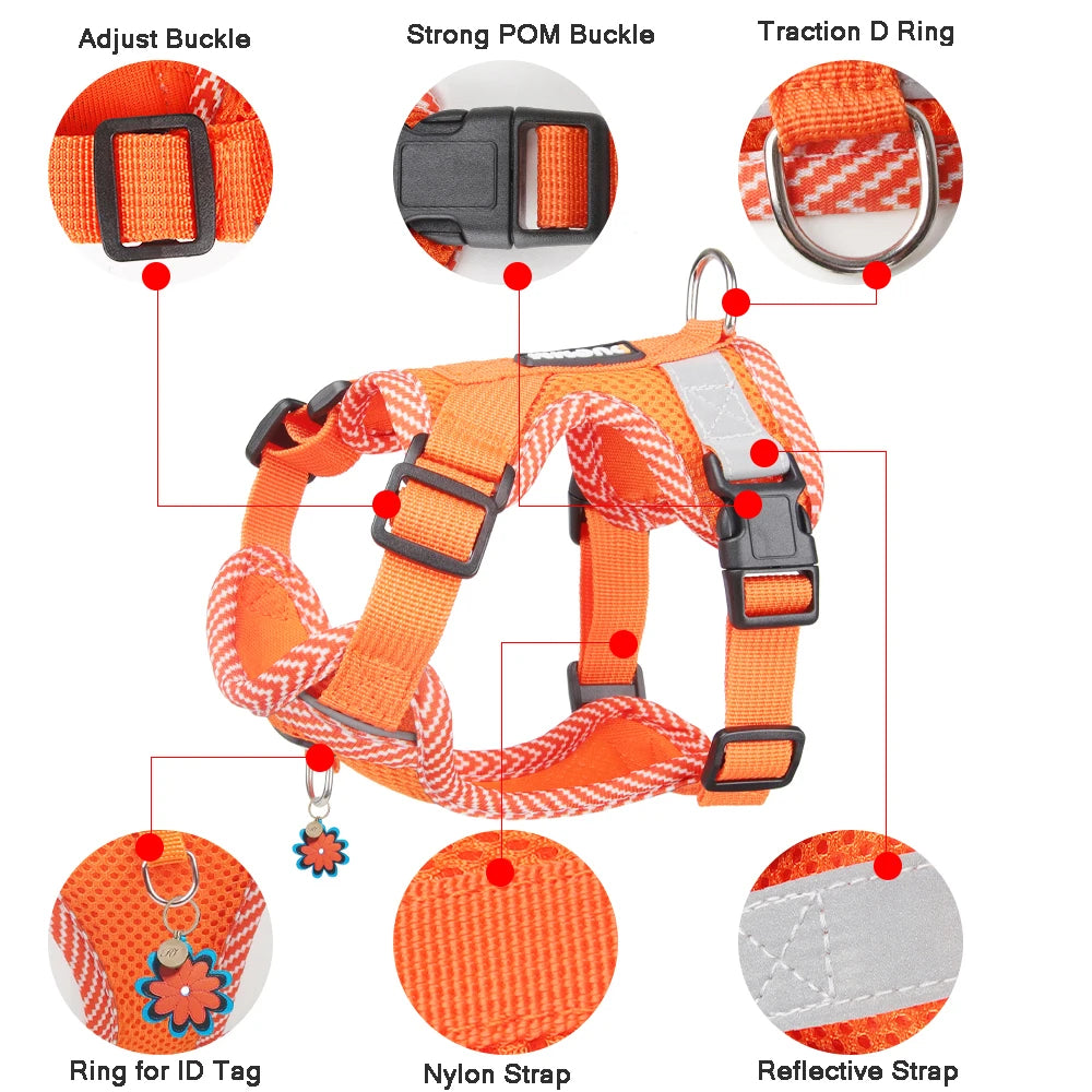 Reflective Mesh Dog Harness Set: Adjustable 4-Point Harness and Leash