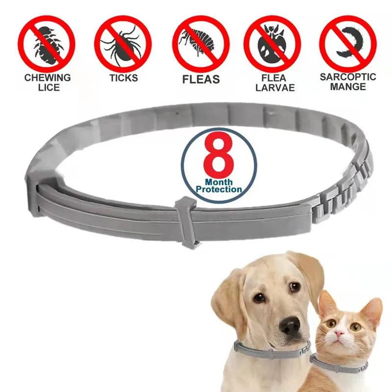 Adjustable Flea & Tick Prevention Pet Collar: Effective Pest Control for Dogs, Puppies & Cats