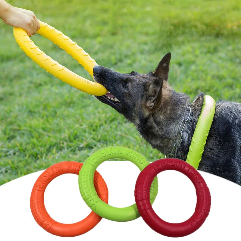 Interactive Flying Disk for Dogs