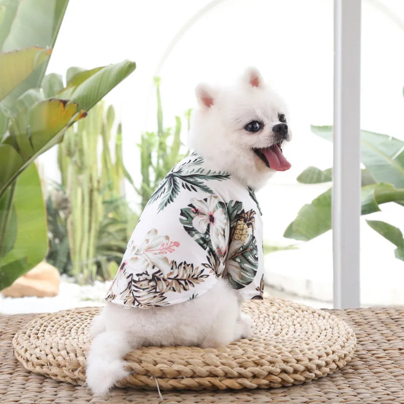 Tropical Breeze: Hawaiian Beach Style Dog T-Shirts