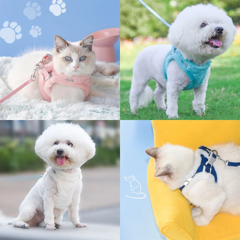 Premium Winter-Ready Cat and Puppy Harness Set