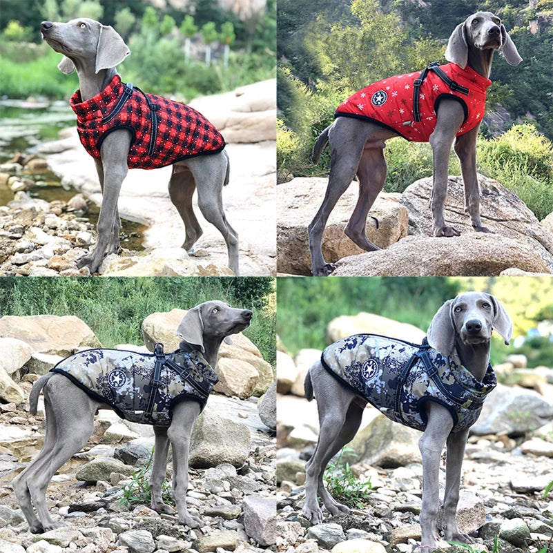 Warm Winter Fleece Dog Jacket: Waterproof Coat with Harness for Small & Large Dogs