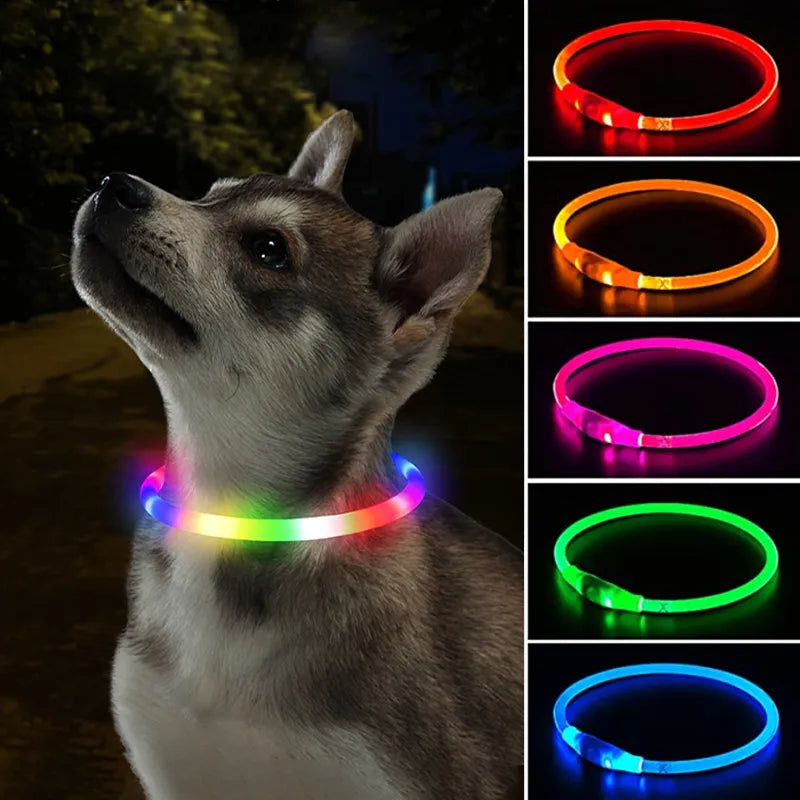 USB Rechargeable LED Dog Collar: Glowing Safety for Pets!