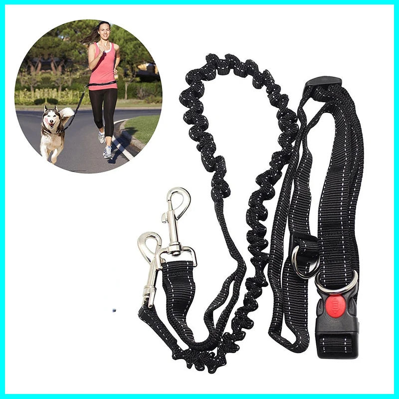 Hands-Free Bungee Dog Leash - Prime Waist Belt Lead for Jogging, Running, and Outdoor Dog Walking