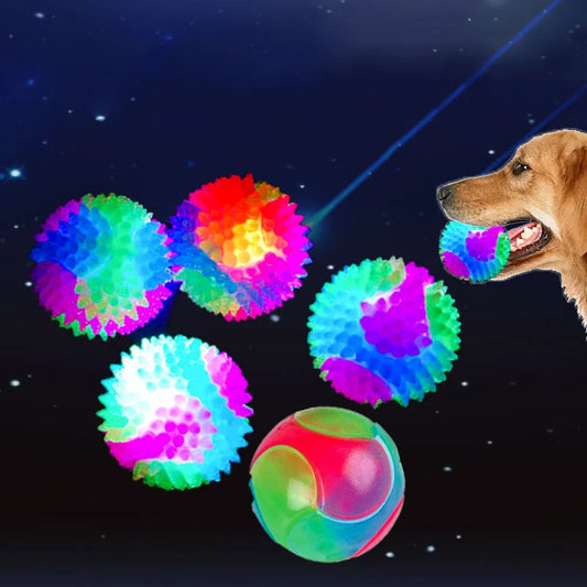 Fun Flashing Dog Ball Toys