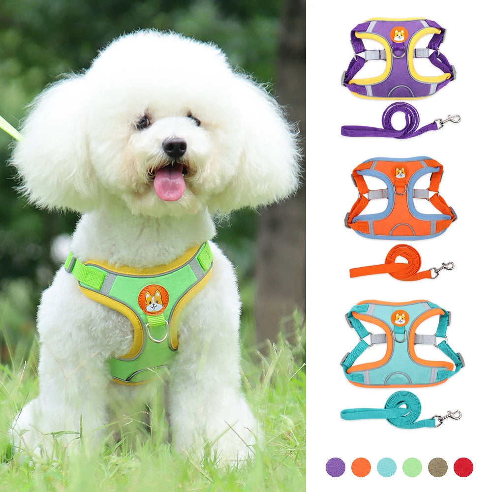 Ultimate No Pull Reflective Dog Harness and Leash Set