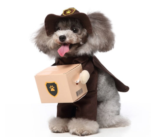 Humorous Halloween Costumes for Pets