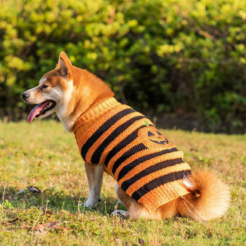 Cozy Halloween Dog Sweaters