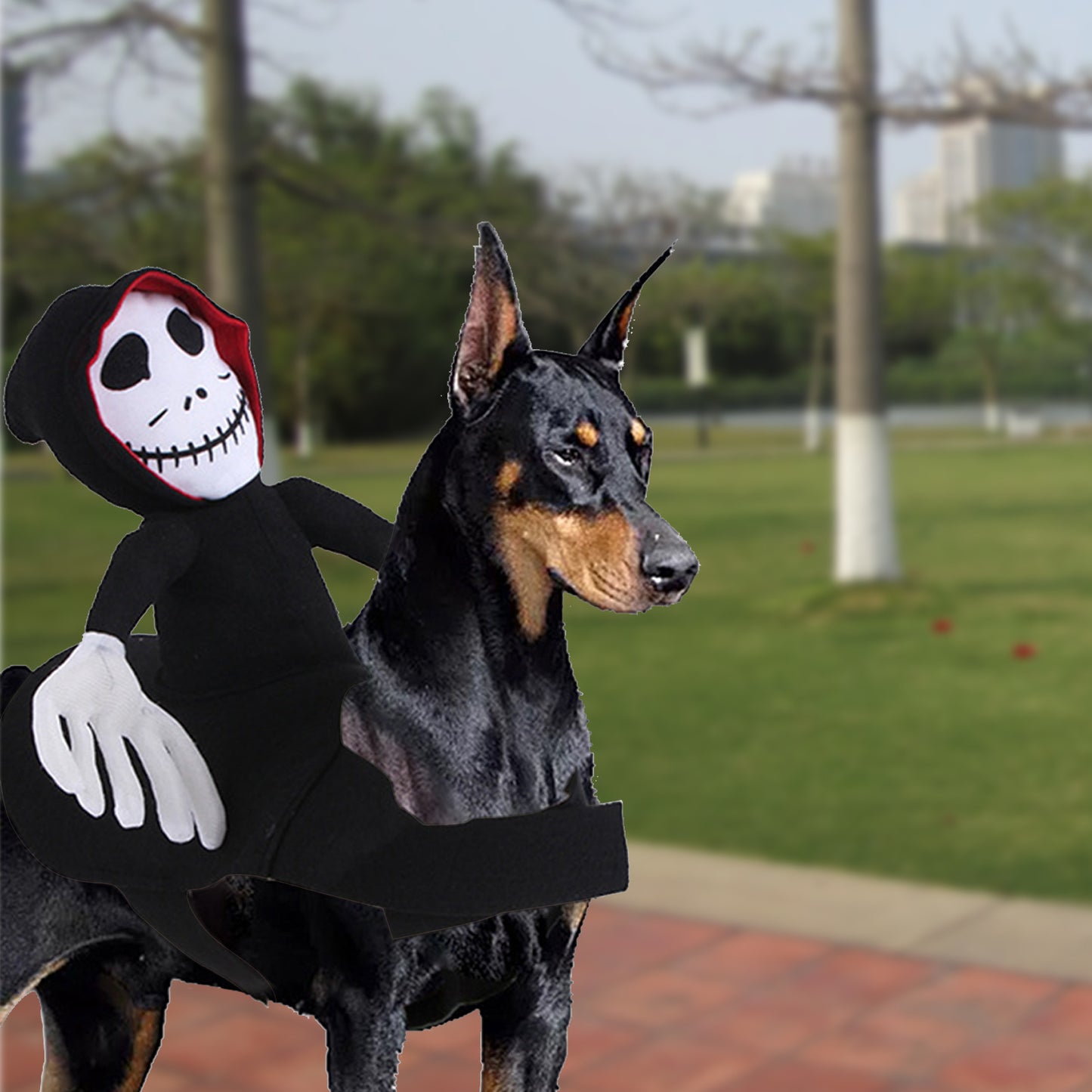 Hilarious Goblin Rider Halloween Pet Costume